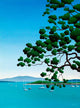 Spreading Oak Wall Decal