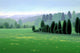 Spring Fields Wall Decal