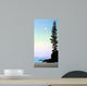 Summer Moon Wall Decal