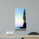 Summer Moon Wall Decal