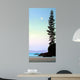 Summer Moon Wall Decal