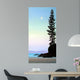 Summer Moon Wall Decal