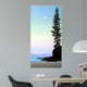 Summer Moon Wall Decal