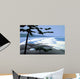 Wickanninish Wall Decal