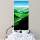 Wine Country Wall Decal