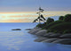 Gonzales Bay Morning Wall Decal