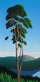 Above Finlayson Arm Wall Decal