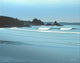 Cox Bay Headland Wall Decal