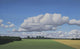 Summer Fields Wall Decal