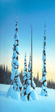 Snowbound Wall Decal