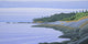Arbutus Point Clouds Wall Decal