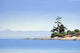 Gonzales Afternoon Wall Decal