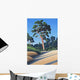 Arbutus Grove Morning Wall Decal
