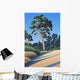 Arbutus Grove Morning Wall Decal