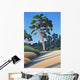 Arbutus Grove Morning Wall Decal