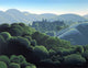 Rolling Hills Wall Decal
