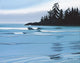 Rocky Island Wall Decal