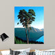 Hillside Arbutus Wall Decal