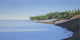 Arbutus Point Evening Wall Decal