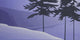Seabank Winter Wall Decal