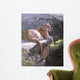 Cougar Country Wall Mural