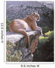 Cougar Country Wall Mural