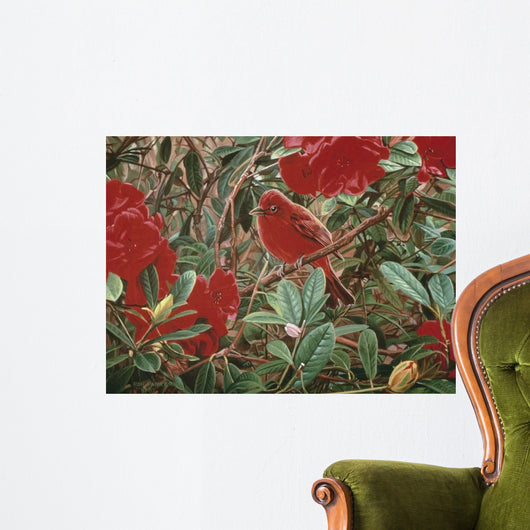 Summer Tanager Wall Decal