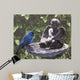 Water Dish Wall Decal