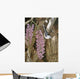 Wysteria Wall Decal