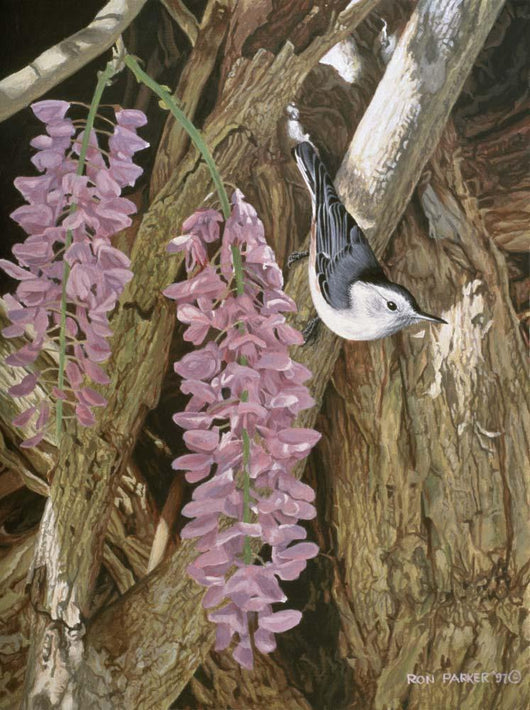 Wysteria Wall Decal