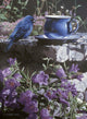 Stone Ledge Wall Decal