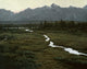 Shining River Wall Decal