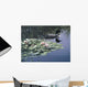 Loon And Lilies Wall Mural