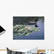 Loon And Lilies Wall Mural