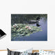 Loon And Lilies Wall Mural