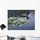 Loon And Lilies Wall Mural