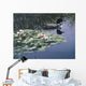 Loon And Lilies Wall Mural