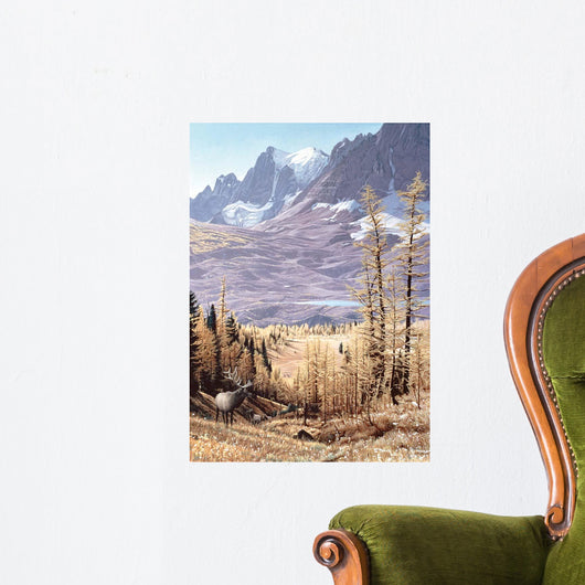 Rockwall Wall Decal