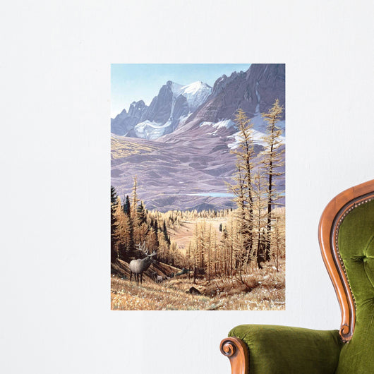 Rockwall Wall Decal