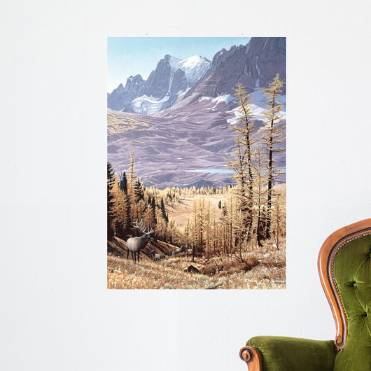 Rockwall Wall Decal