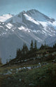 Coast Range Wall Decal