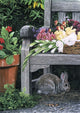 Garden Visitor Wall Decal