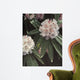 Rhododendron Wall Decal
