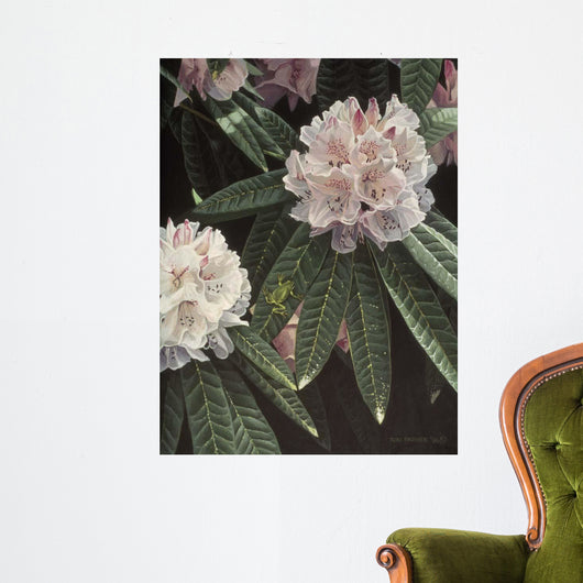 Rhododendron Wall Decal