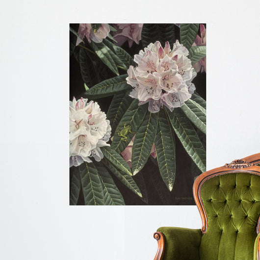 Rhododendron Wall Decal