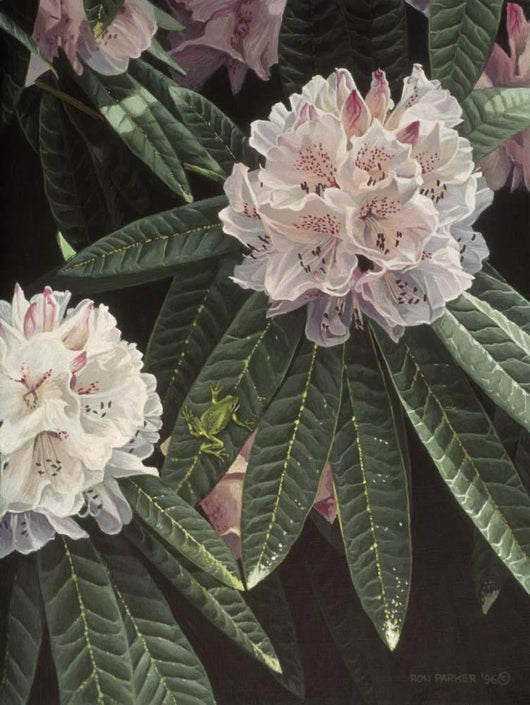 Rhododendron Wall Decal