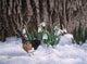 Snowdrops Wall Decal