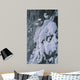 Chickadees Snow Wall Decal