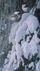 Chickadees Snow Wall Decal