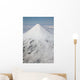 Aerial Glaciated Shishaldin Volcano Wall Decal